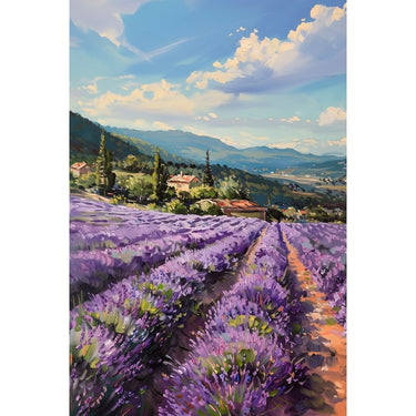 Field of Lavender canvas